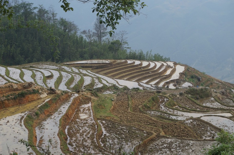 Vietnam -  - 