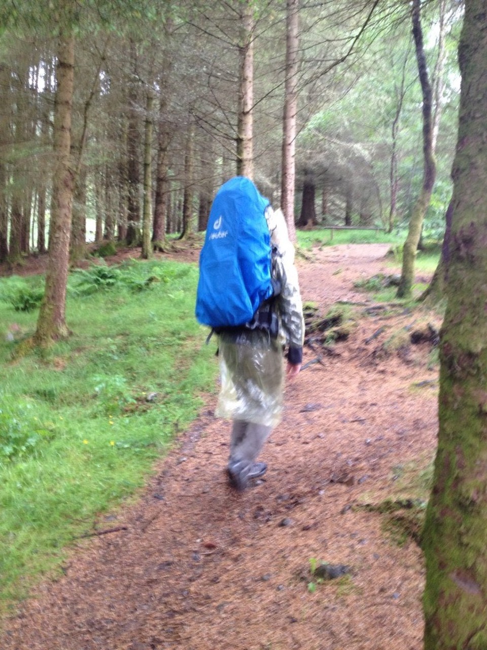  - Vereinigtes Königreich, Fort William, PH33n - 