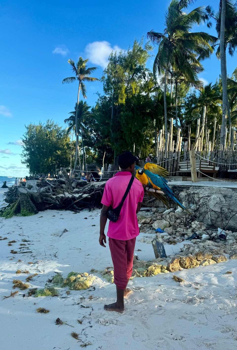 Dominican Republic - Punta Cana - 