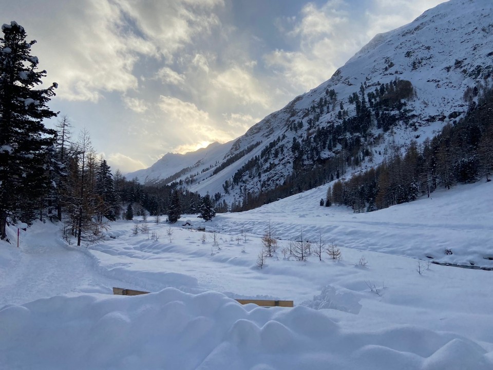 Schweiz - Pontresina - 