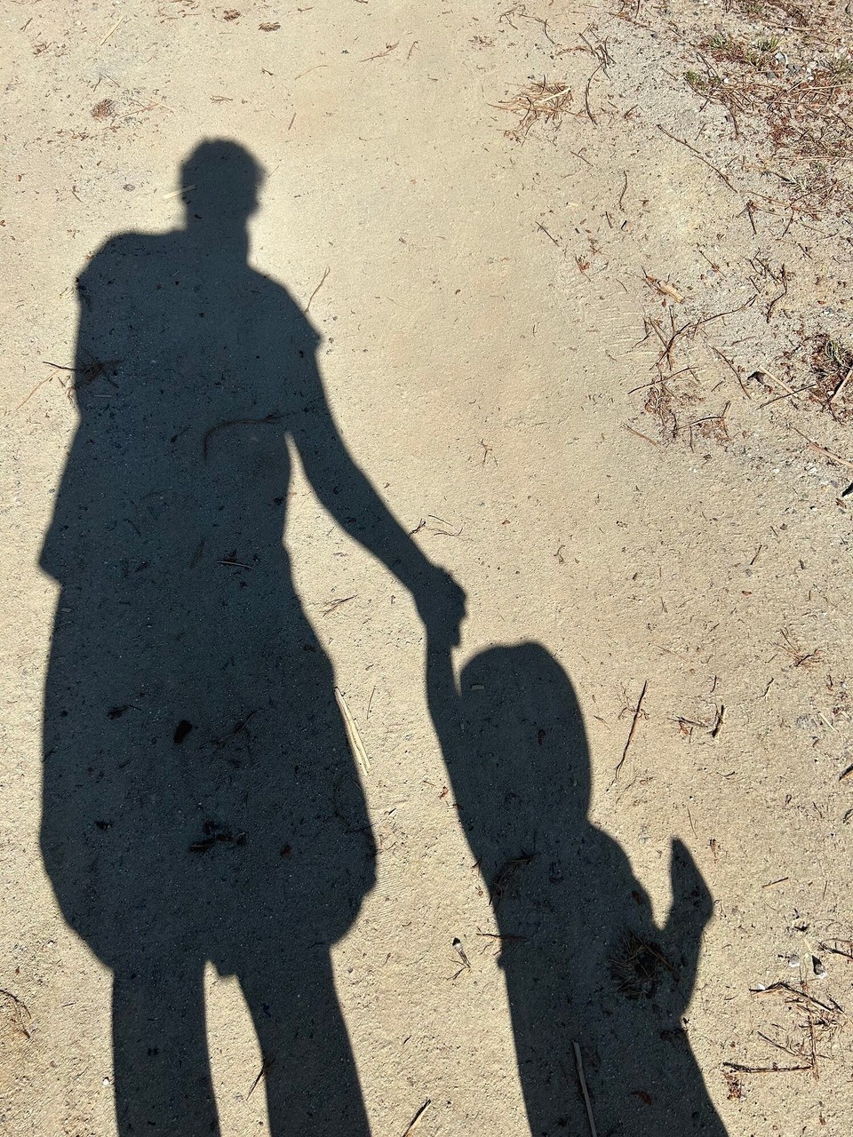 Frankreich - Biguglia - 