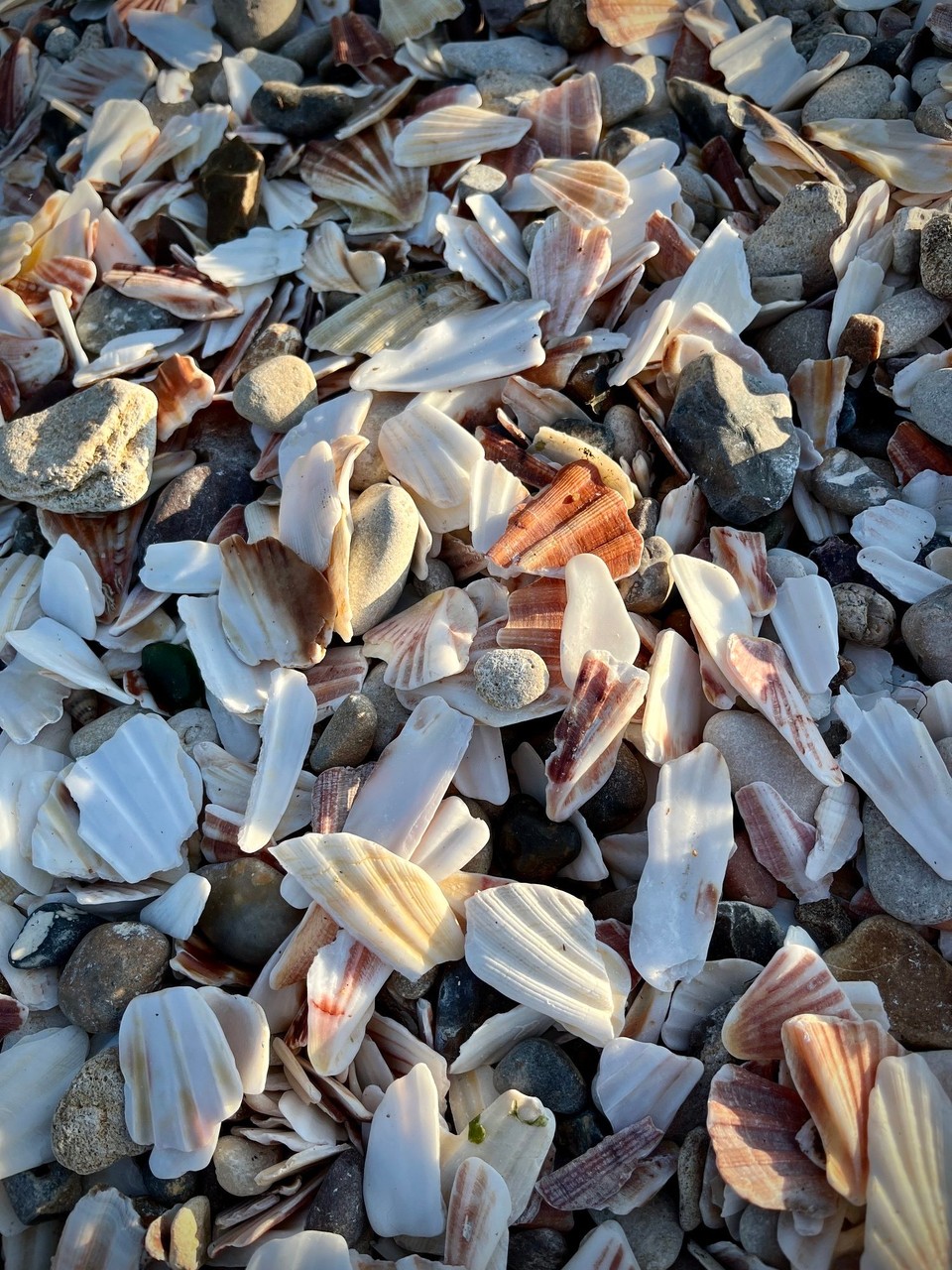 Frankreich - Colleville-sur-Mer - 