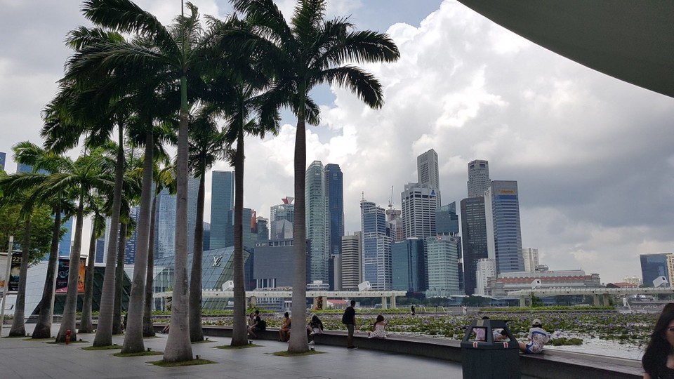 Singapur - Singapore - Palmen dürfen bei dem Klima nicht fehlen