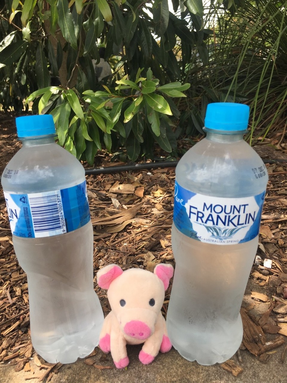 Australien - Mosman - Kühlung