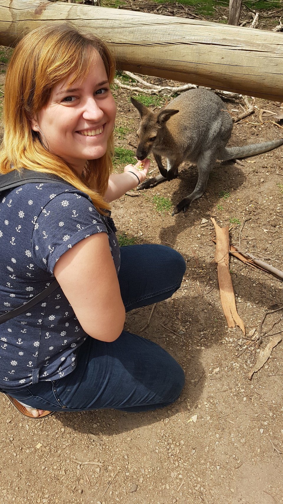 Australien - Phillip Island - Keine schüchternen Zeitgenossen