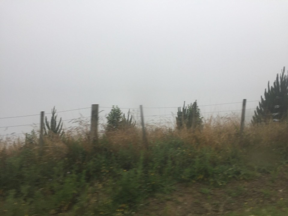 Neuseeland - Norsewood - 
