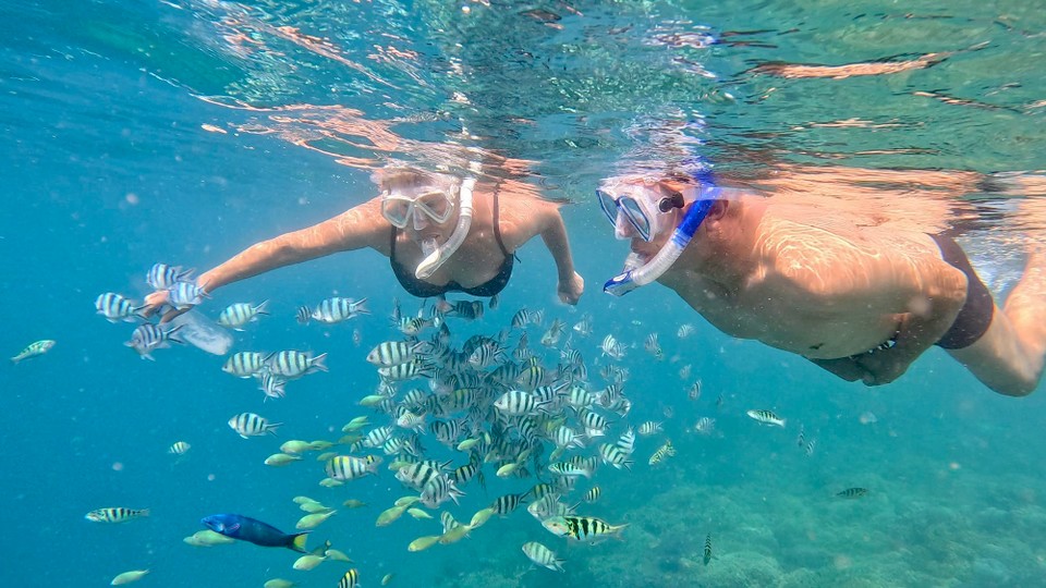 Indonesien - Kabupaten Lombok Barat - Wunderschöne heile Korallen Riffe mit Schwärmen bunter Fische,
Der schönsten Schnorchel Spot den wir hier erkunden durften.