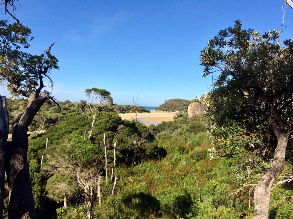 Australia - Tidal River - Going hiking. 