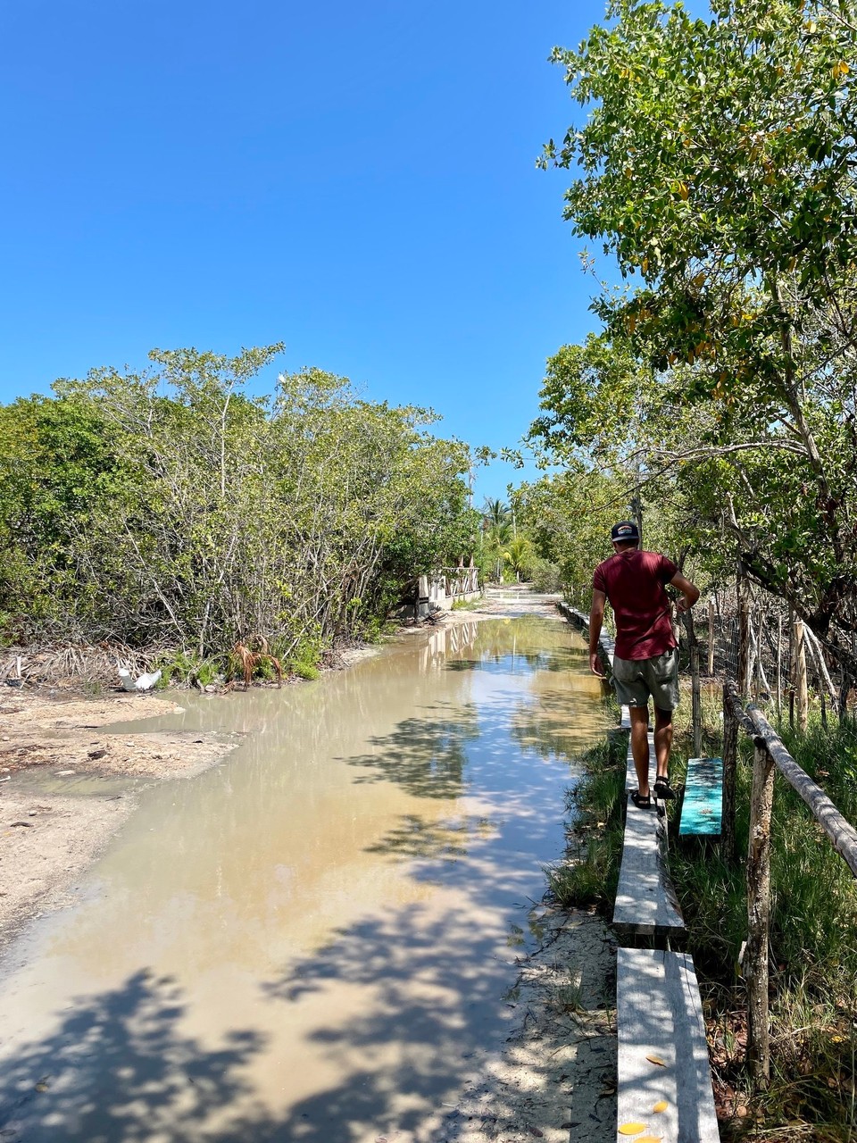 Mexiko - Isla Holbox - 