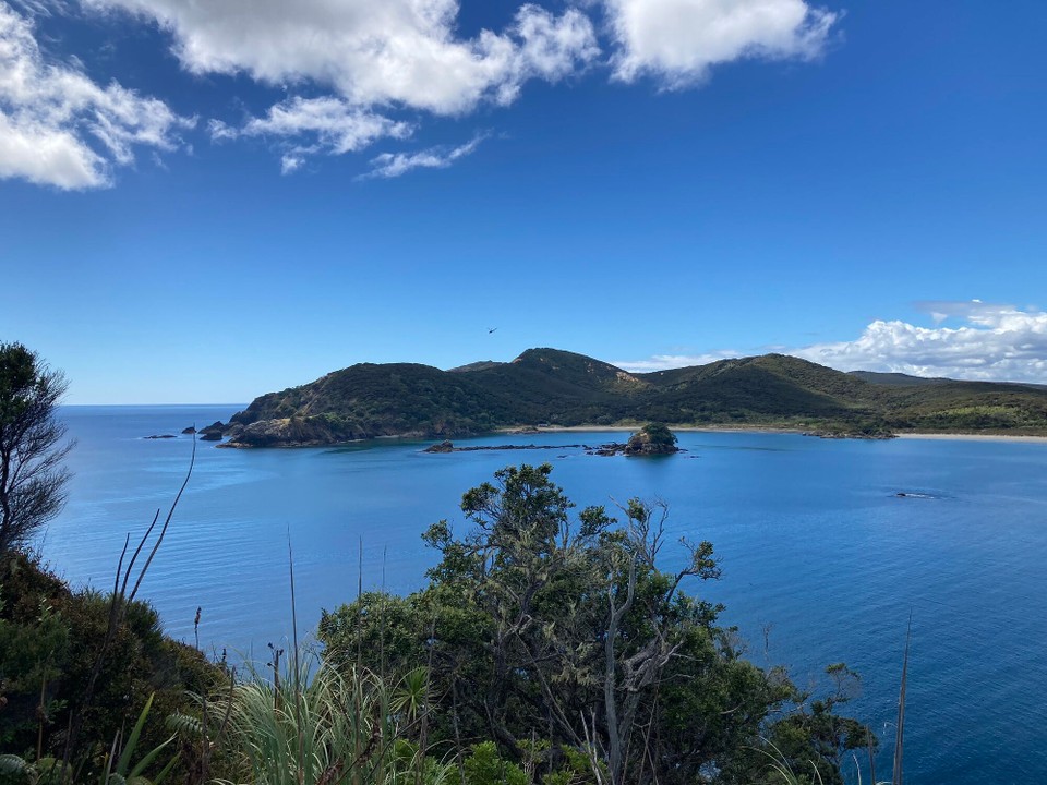Neuseeland - Karikari Peninsula - Blick auf Waikato Bay