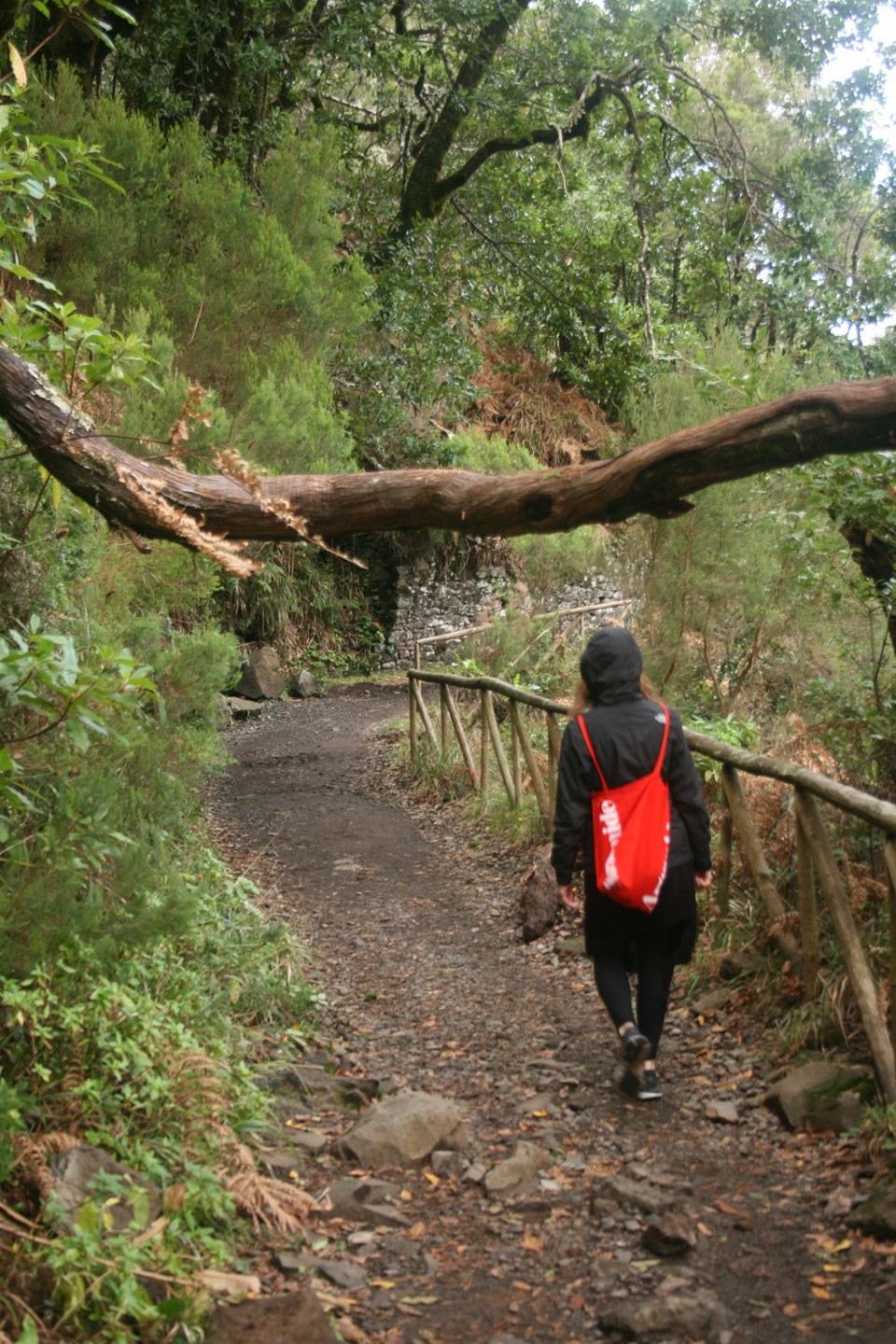 Portugal - Rabaçal - Der Wanderweg ist leider eine Sackgassenweg. Jetzt geht's den gesamten weg wieder zurück. 