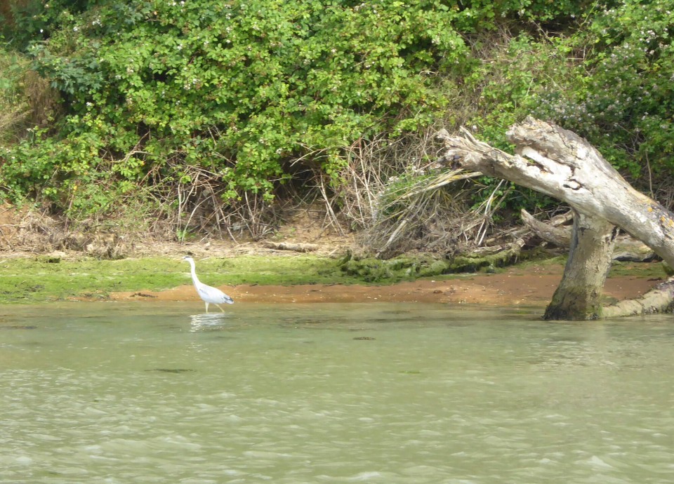 United Kingdom - Woodbridge - 