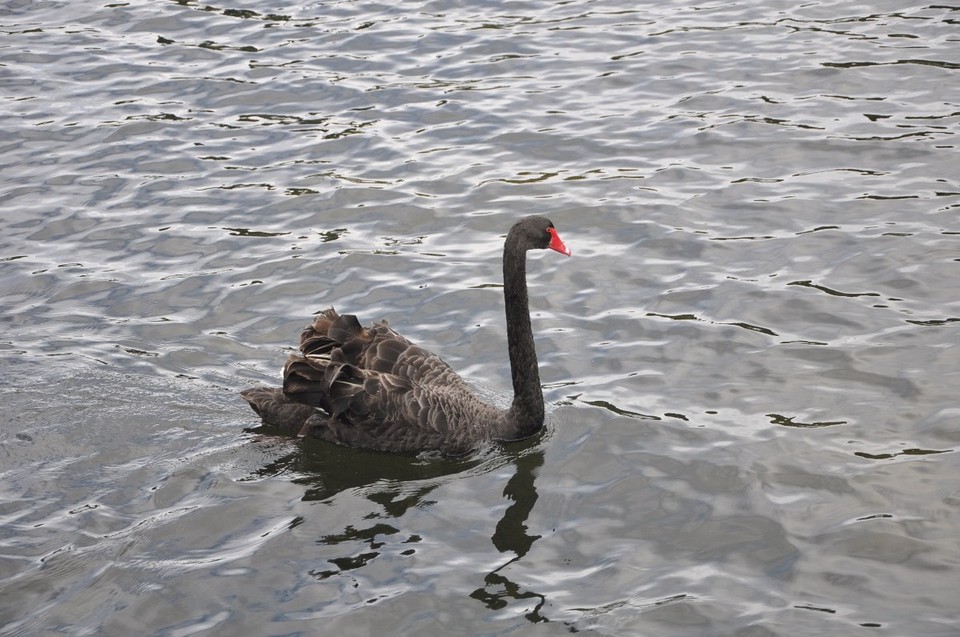 Neuseeland - Taupo - 