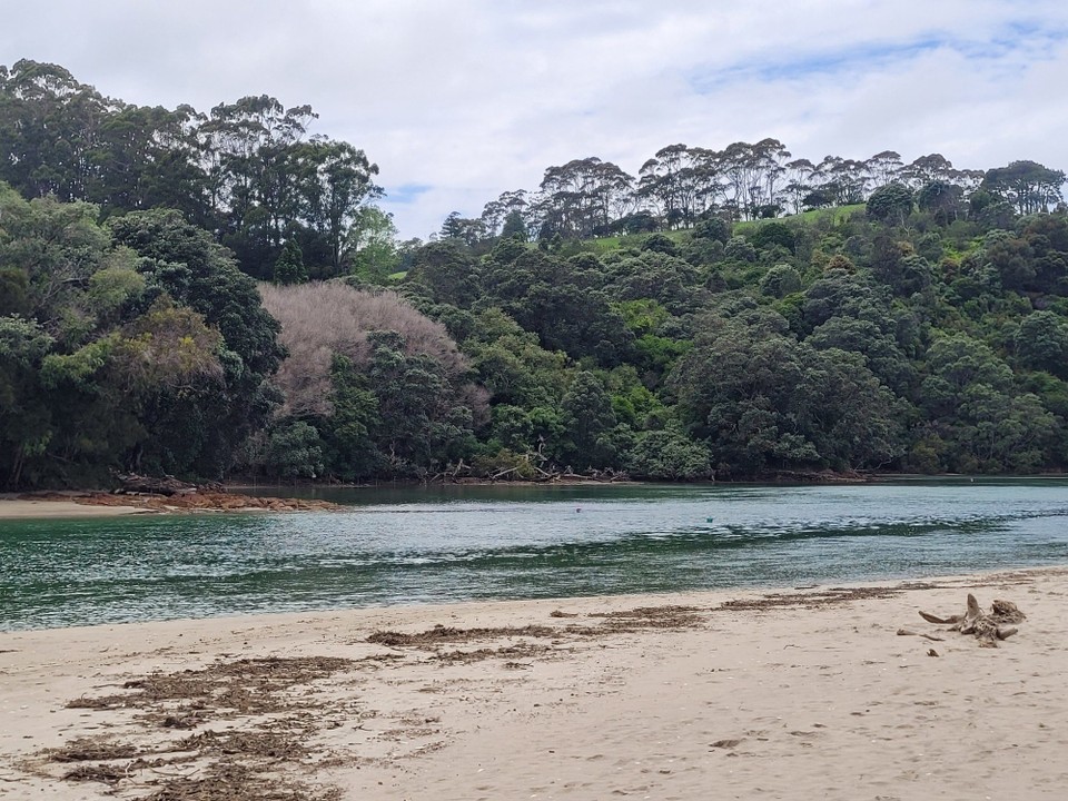 Neuseeland - Cooks Beach - 