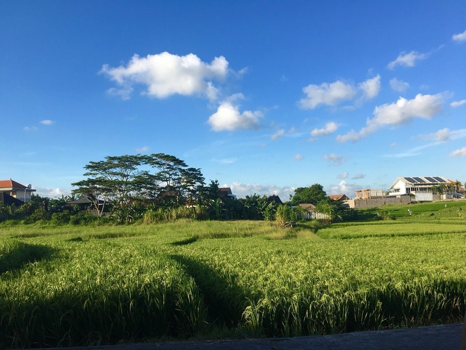 Indonesien - Badung - Canggu 🍍