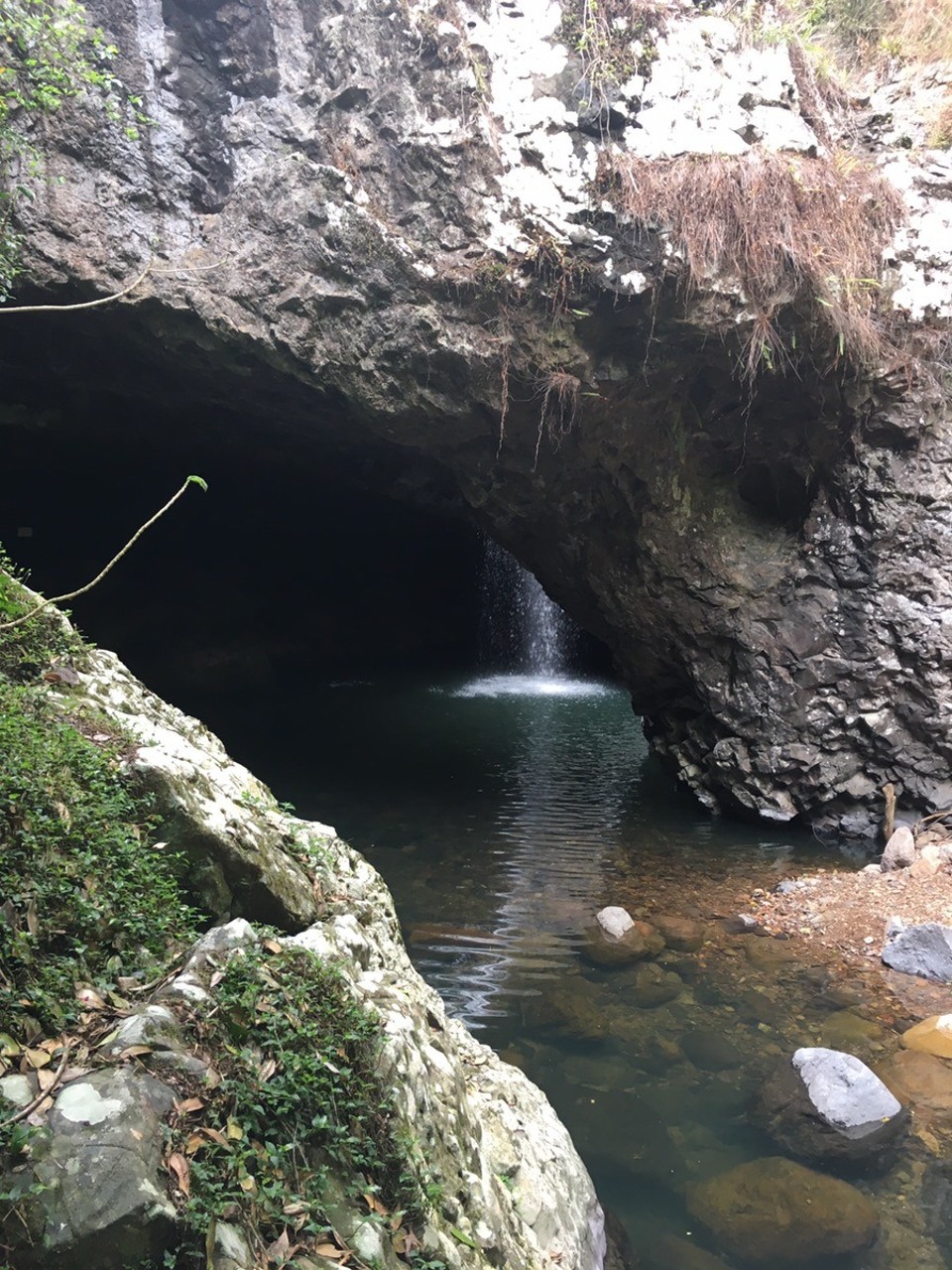 Ausztrália - Springbrook - 