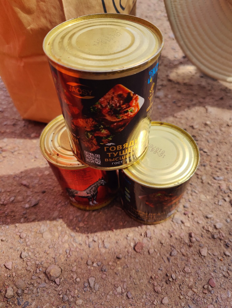 Kasachstan - Krasnoznamenskoe - Abdumusa's Konserven für meine Reise