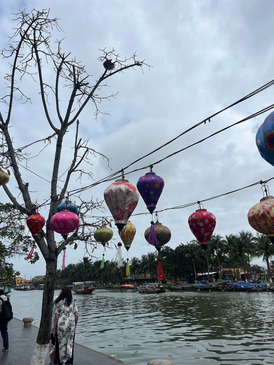 Vietnam - Hoi An - 