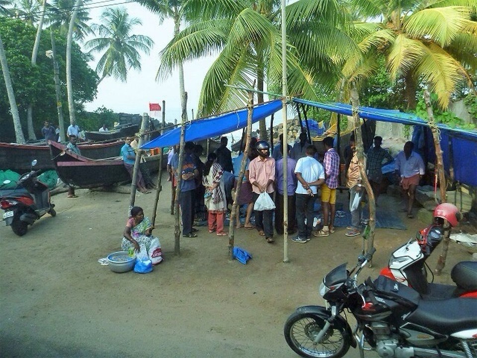 Indien - Kochi - Fischmarkt in Kochi