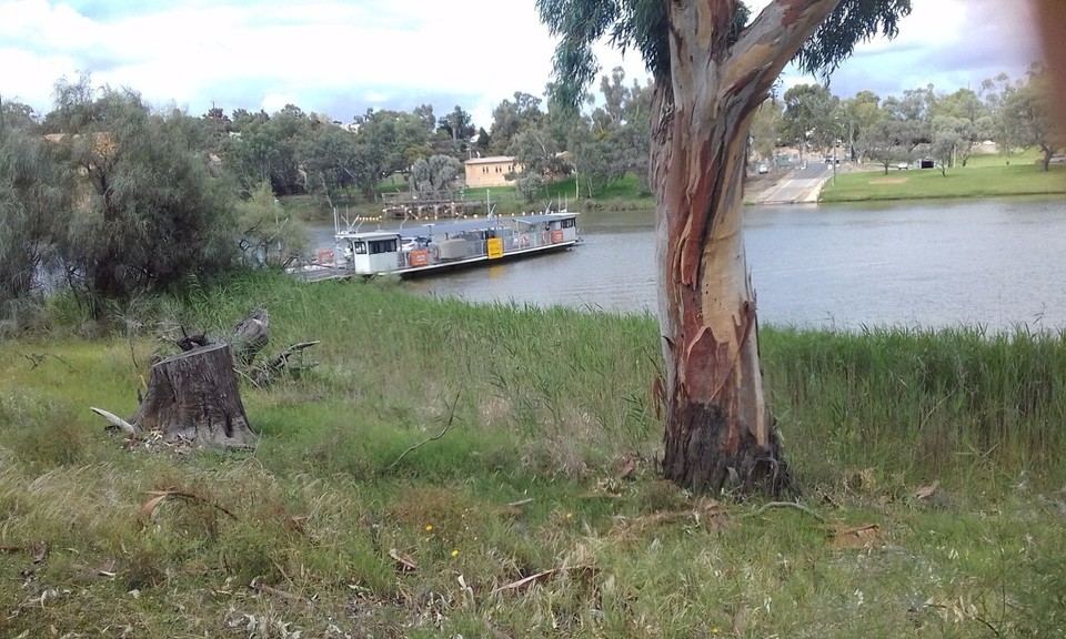 Australia - Taylorville - The ferry to Waikerie.