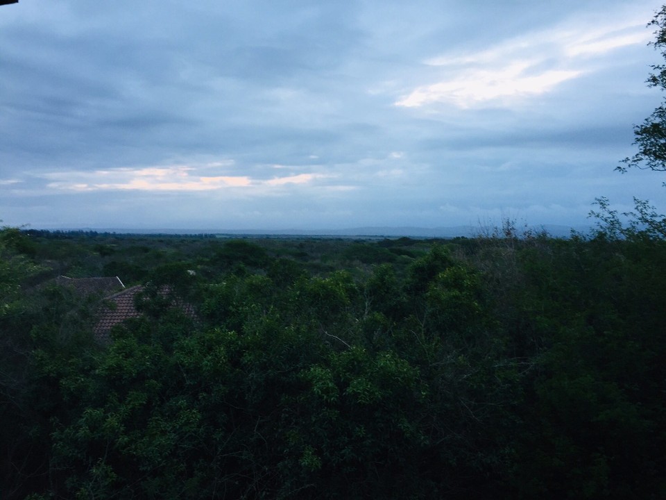 Südafrika - Hluhluwe - 