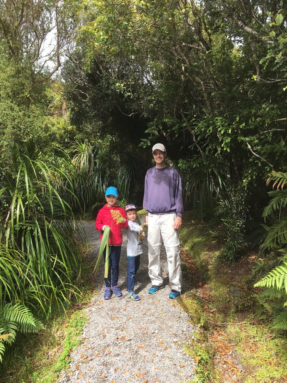 Neuseeland - Haast - Wir haben lange Blätter gesucht.