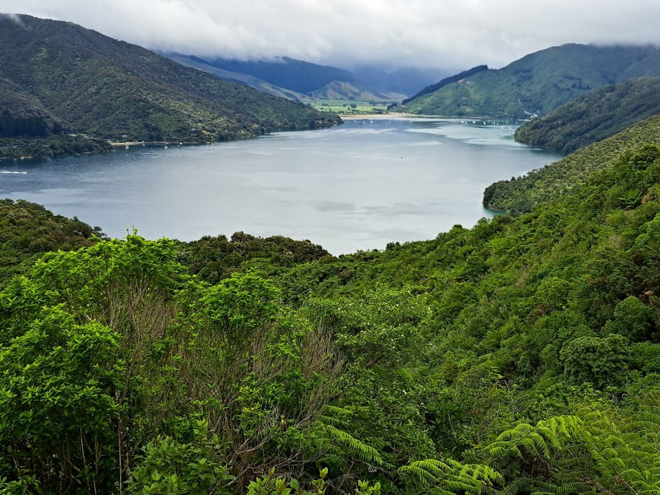 Neuseeland - Havelock - 