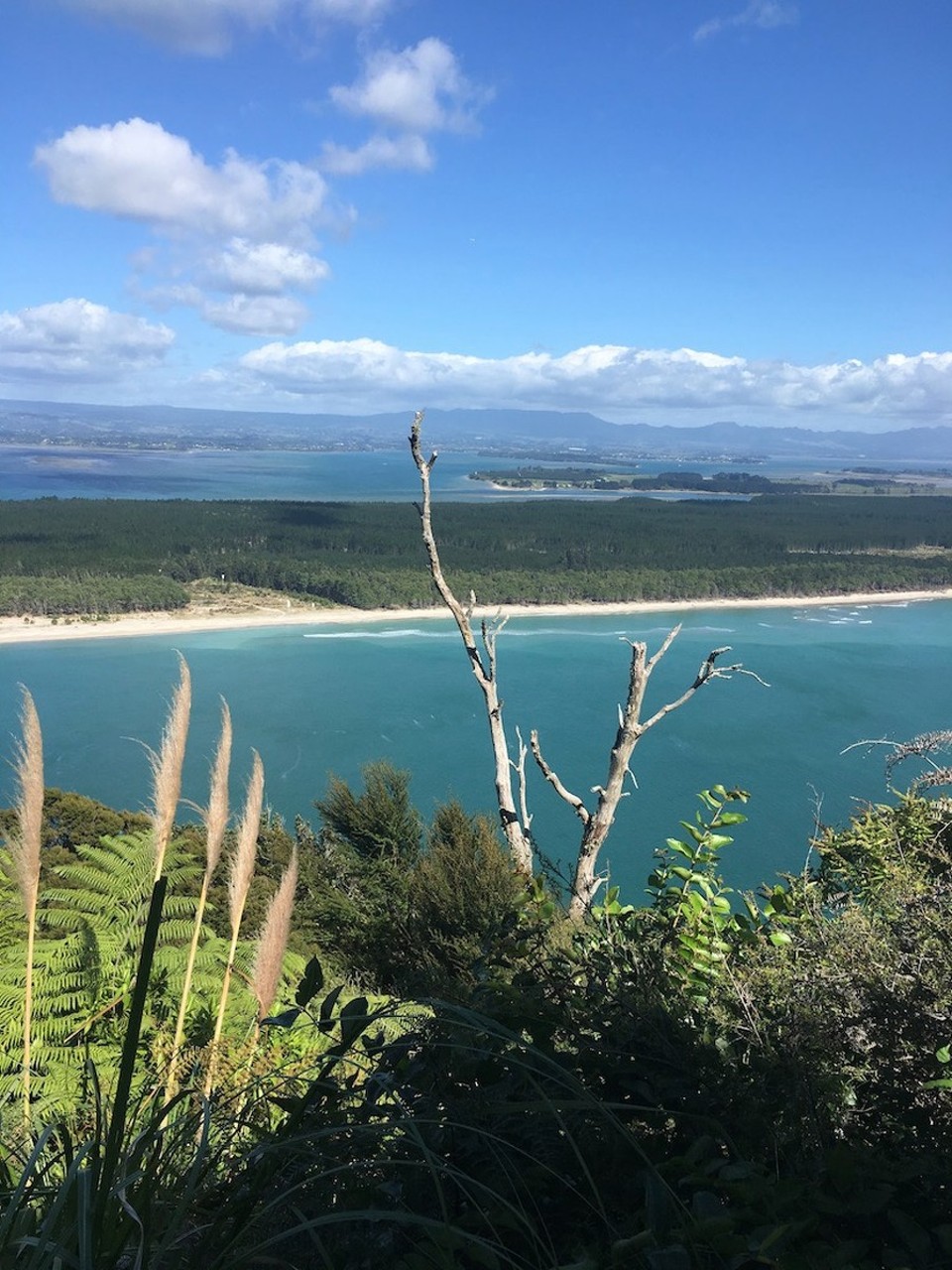 Neuseeland - Papamoa - 