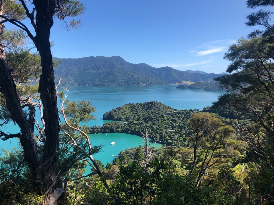 Neuseeland - Te Mahia - Ausblick vom Onahau Lookout