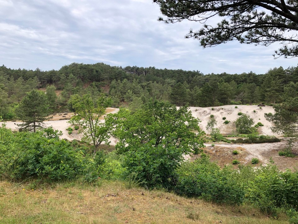 Niederlande - Schoorl - 