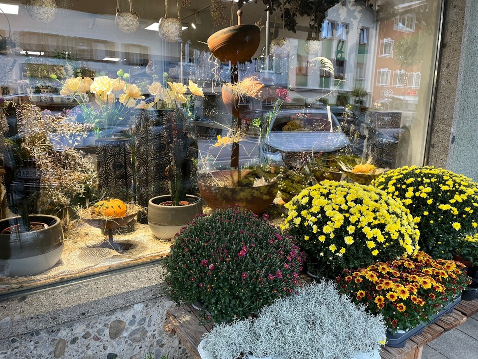 Österreich - Kuchl - 