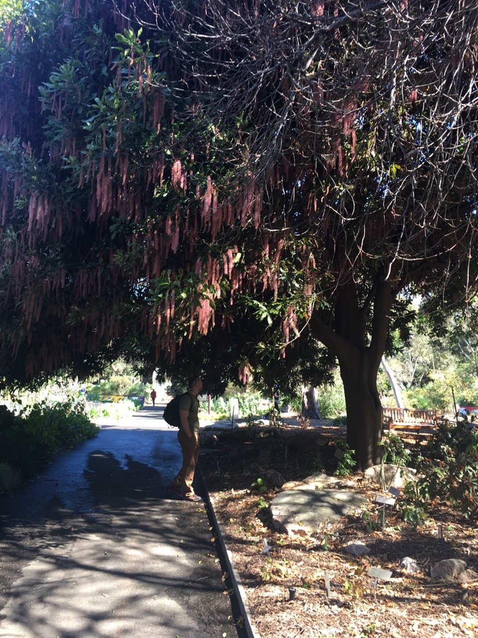 Ausztrália - Sydney - 