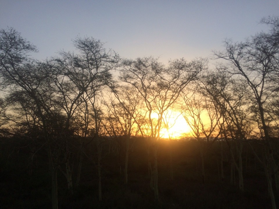 Südafrika -  - 