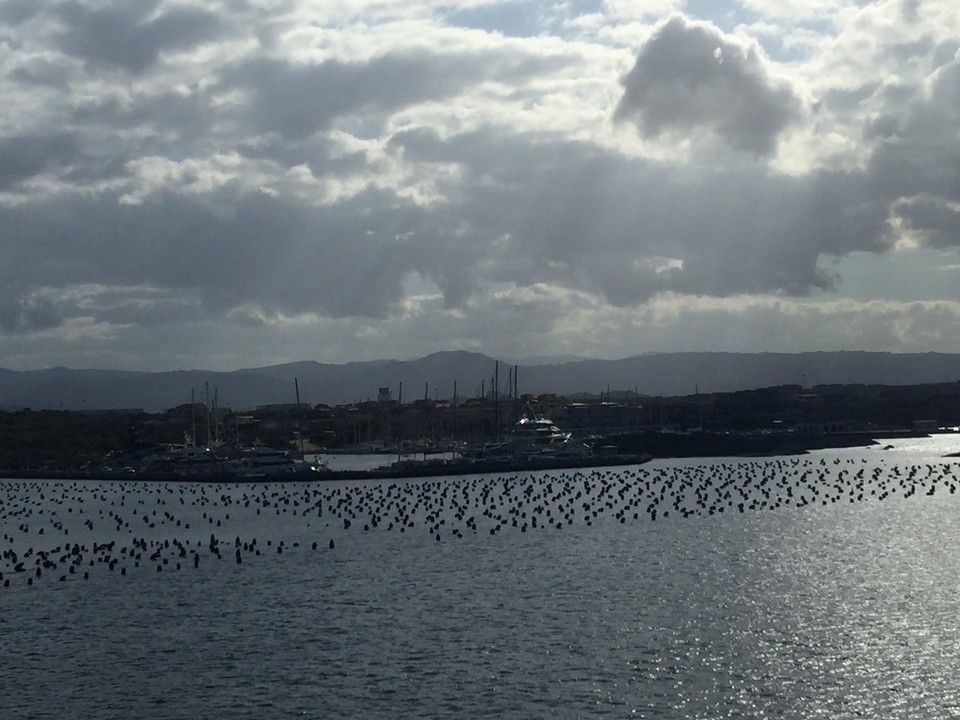  - Italy, Oblia, Sardinia - Leaving Olbia. Mussel farms. 