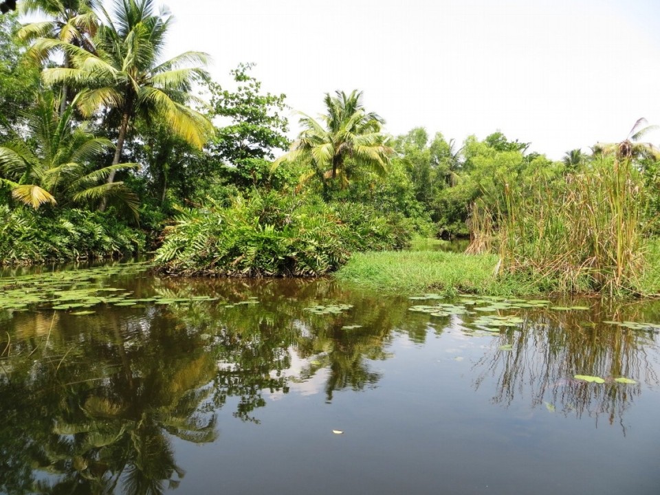 Indien - Cochin - 