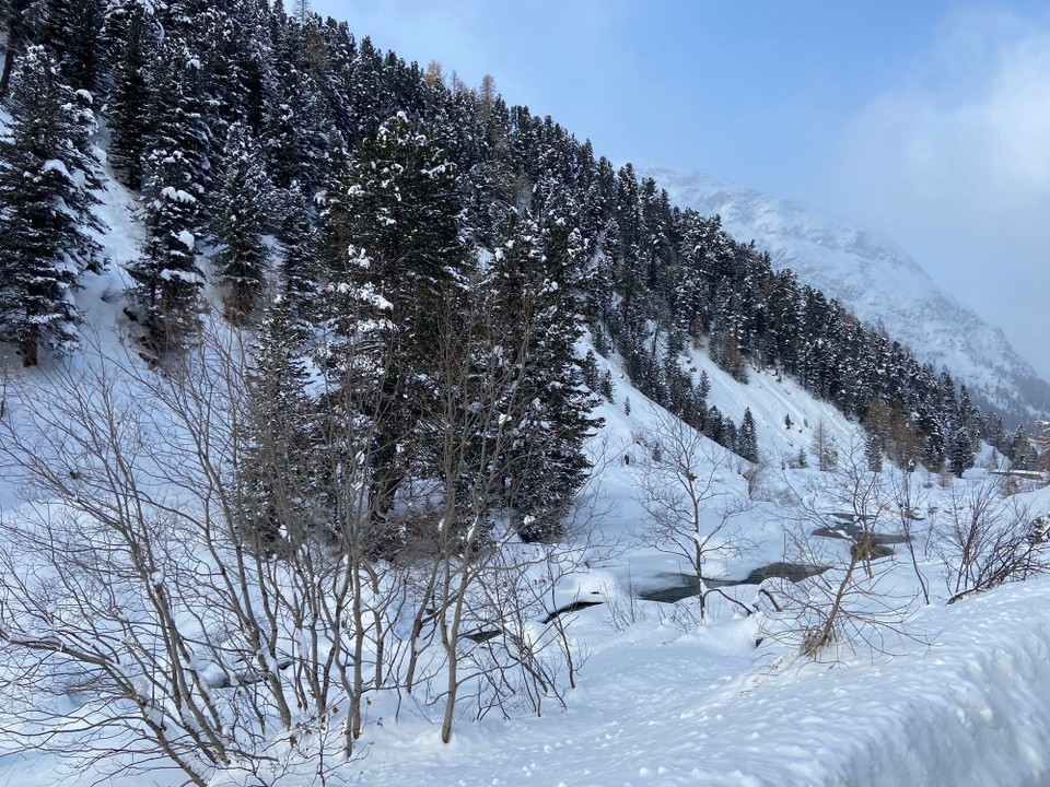Schweiz - Pontresina - 
