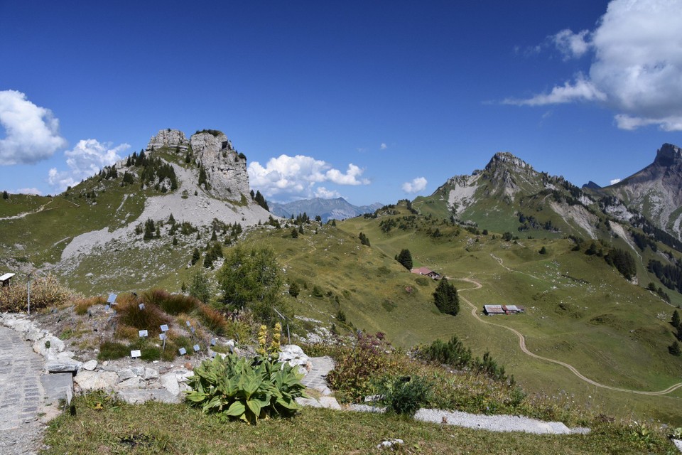 Schweiz - Gündlischwand - 