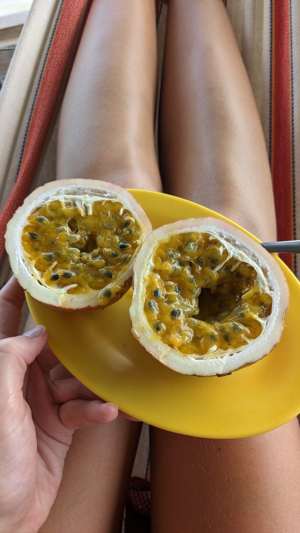 Panama - Provinz Bocas del Toro - Riesenmaracujas. Kannst du haben Lilly, sind mir trotzdem noch zu sauer :p 