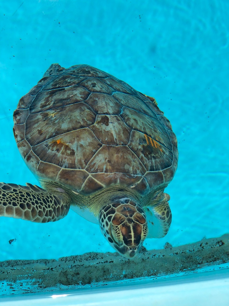 Vereinigte Staaten - Key West - 