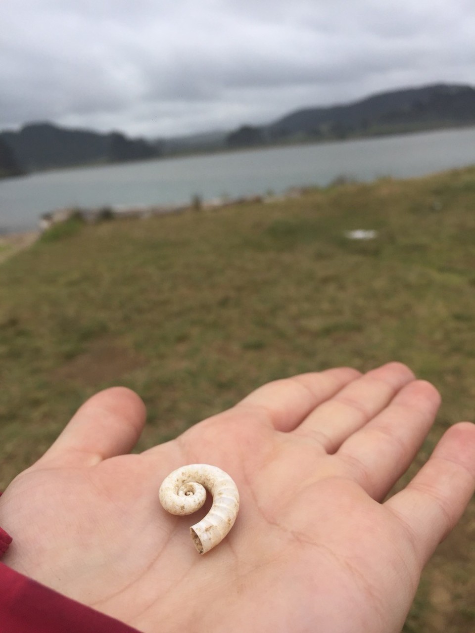  - Neuseeland, Takou Bay - 