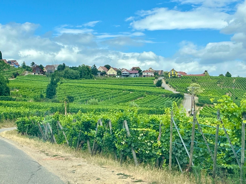 Frankreich - Eguisheim - 