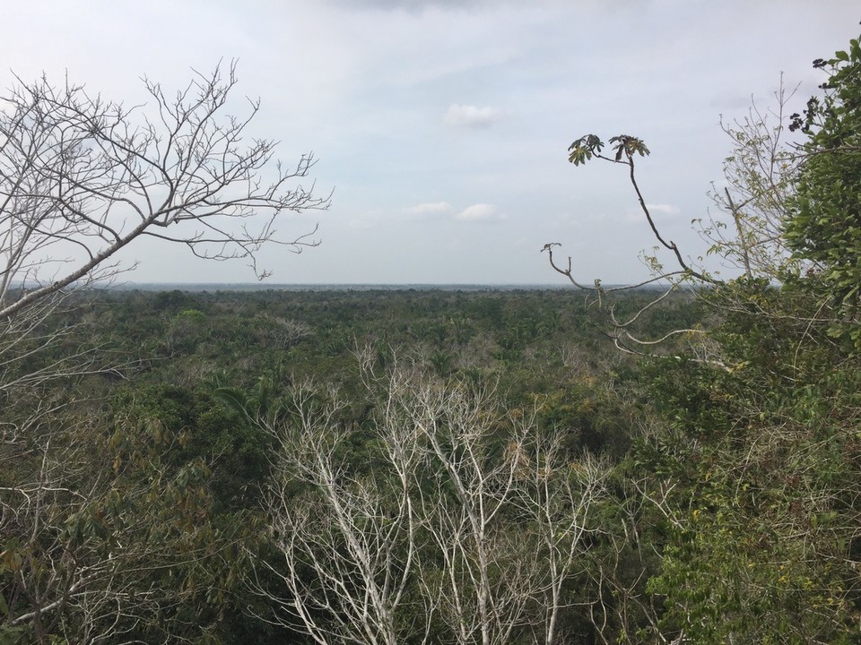  - Belize, Lamanai - 