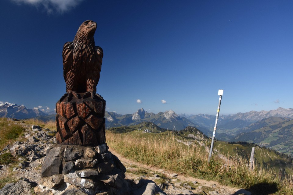 Schweiz - Zweisimmen - auf dem Gipfel