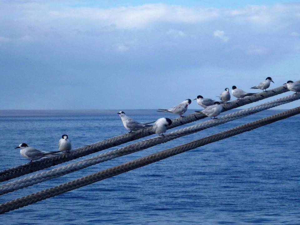 Argentinien - Puerto Madryn - 