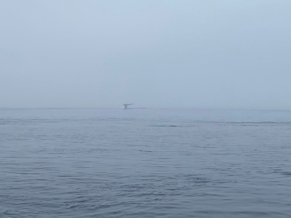 Kanada - Mount Waddington D - 