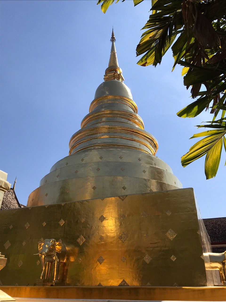 Thailand - Chiang Mai - 