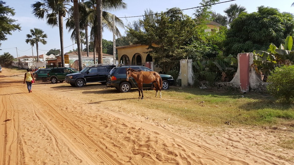 Gambia -  - 