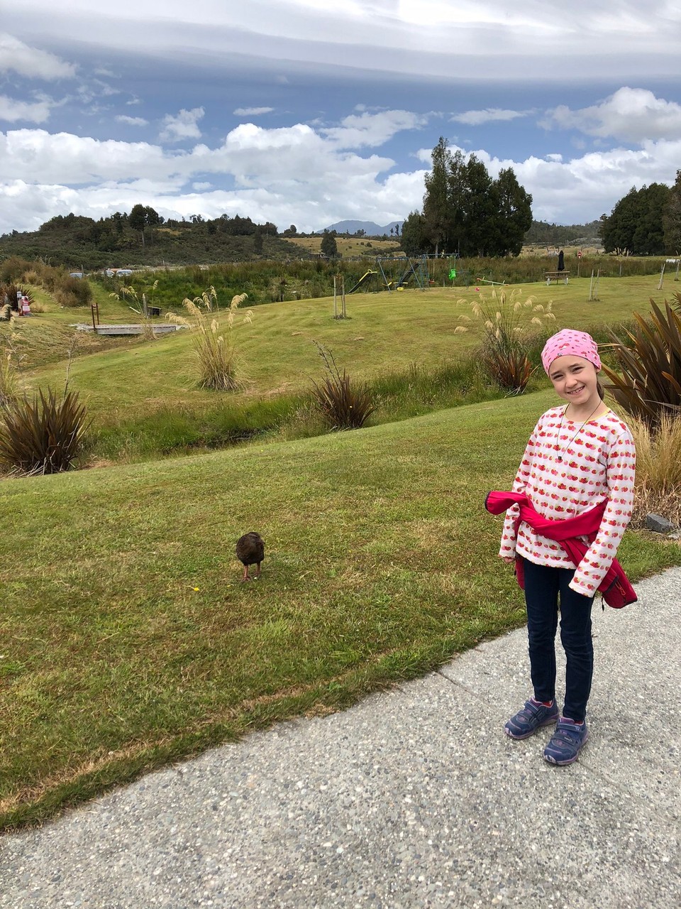 Neuseeland - Hokitika - Heute habe ich einen weka gesehen 