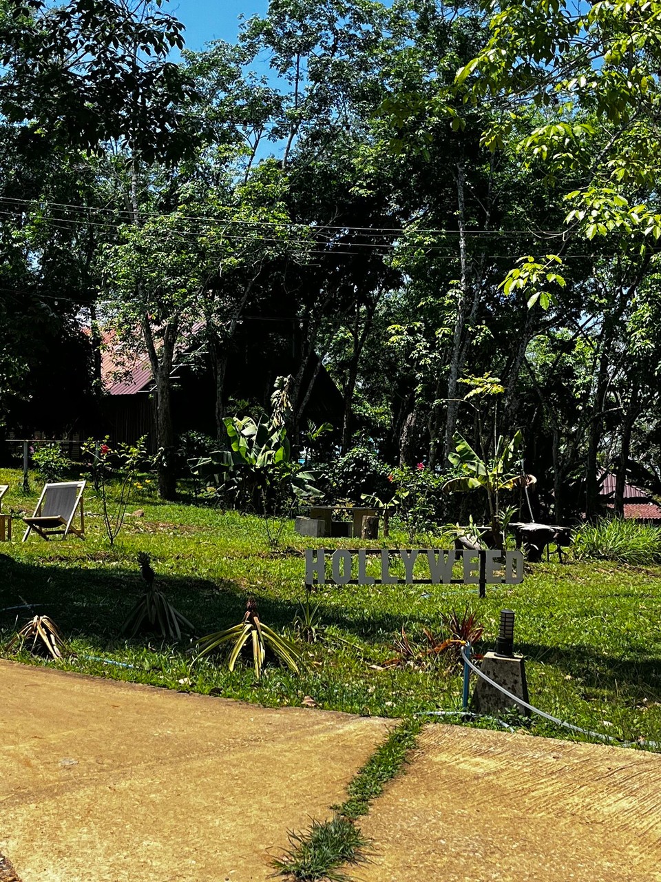 Thailand - Kantang - Holly weed AHAHAAH