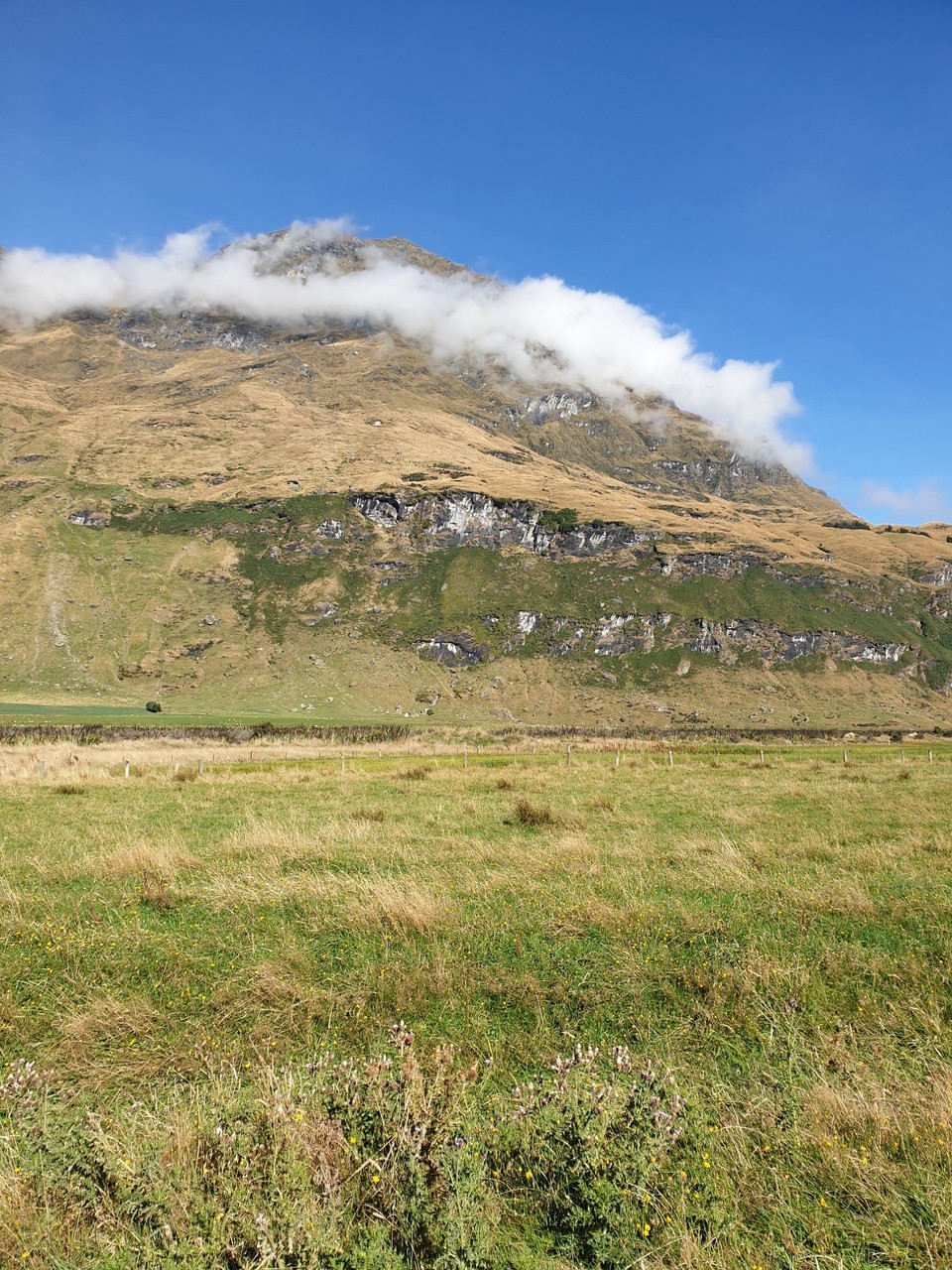 Neuseeland - Wanaka - 